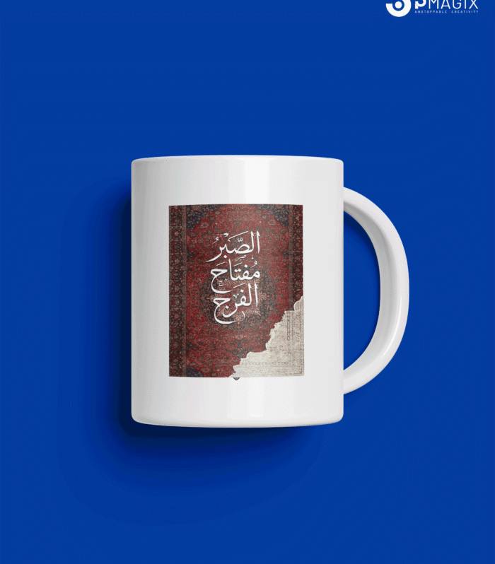 Mug - Patience is the key